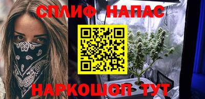 альфа пвп Заводоуковск